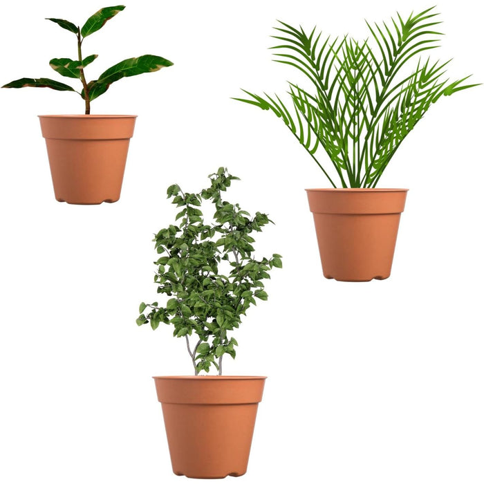 Gardening Pots for Indoor and Outdoor Terracotta Plant Pots